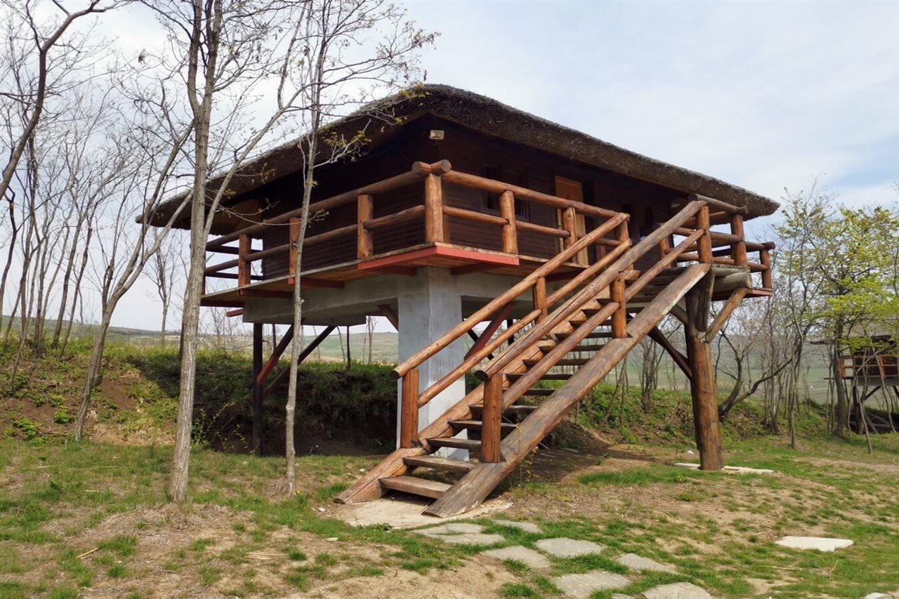 Ferma Dacilor Hotel Tohani Exterior photo