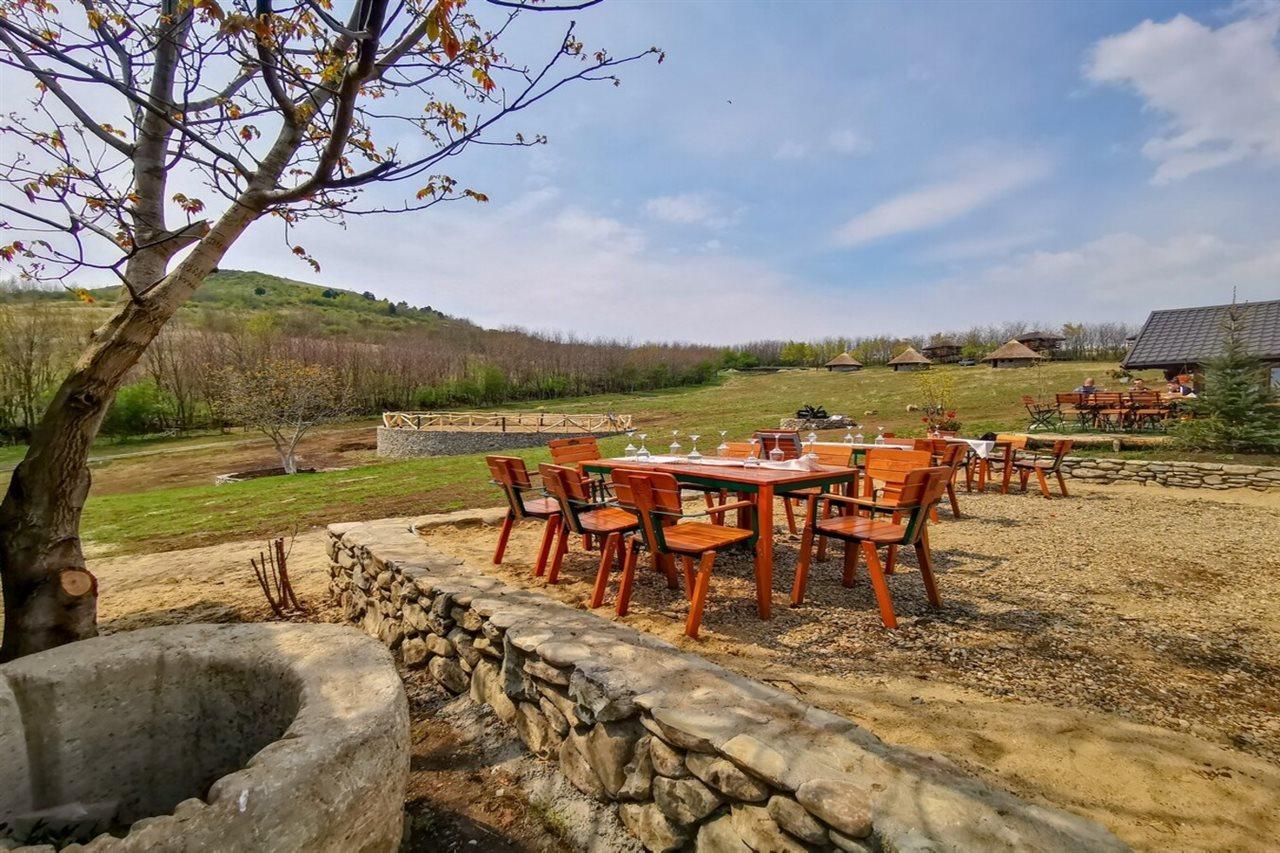 Ferma Dacilor Hotel Tohani Exterior photo