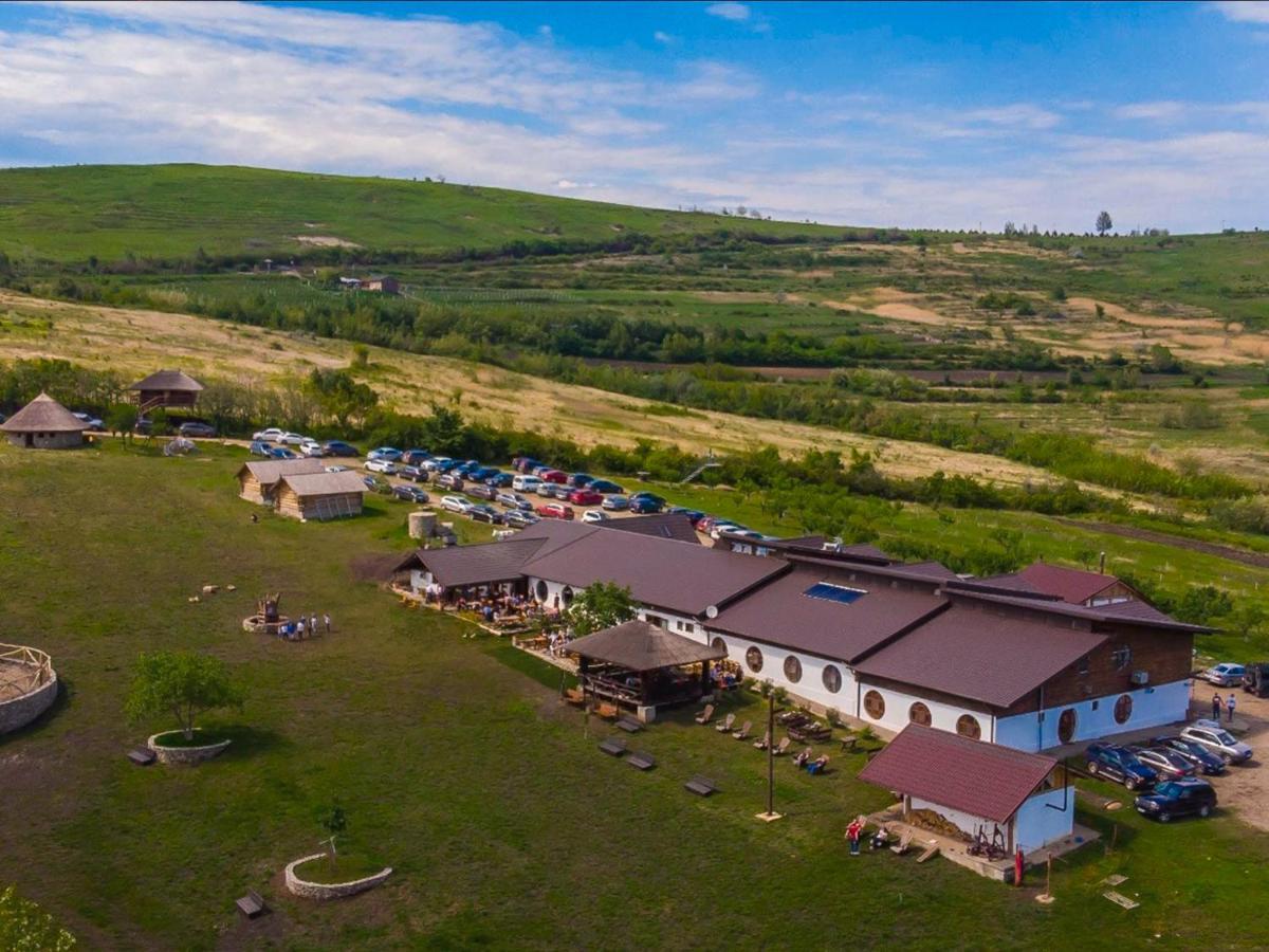 Ferma Dacilor Hotel Tohani Exterior photo