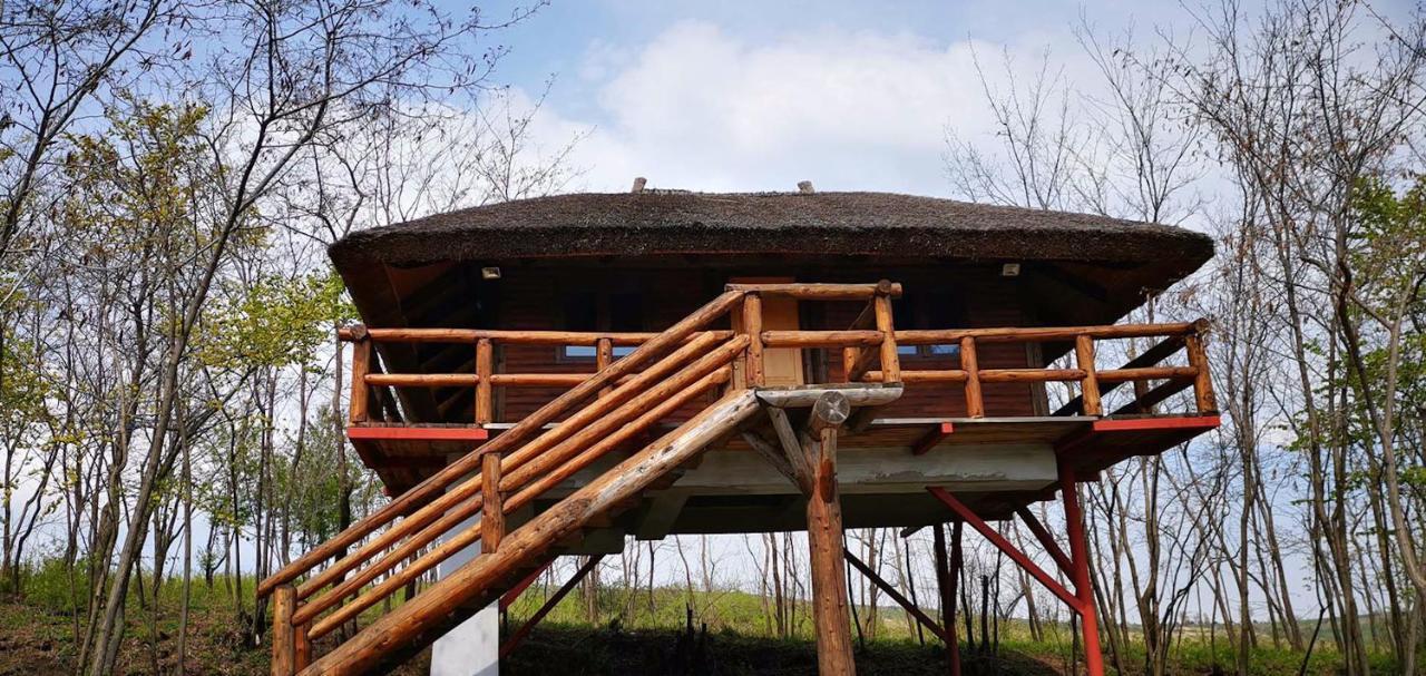 Ferma Dacilor Hotel Tohani Exterior photo