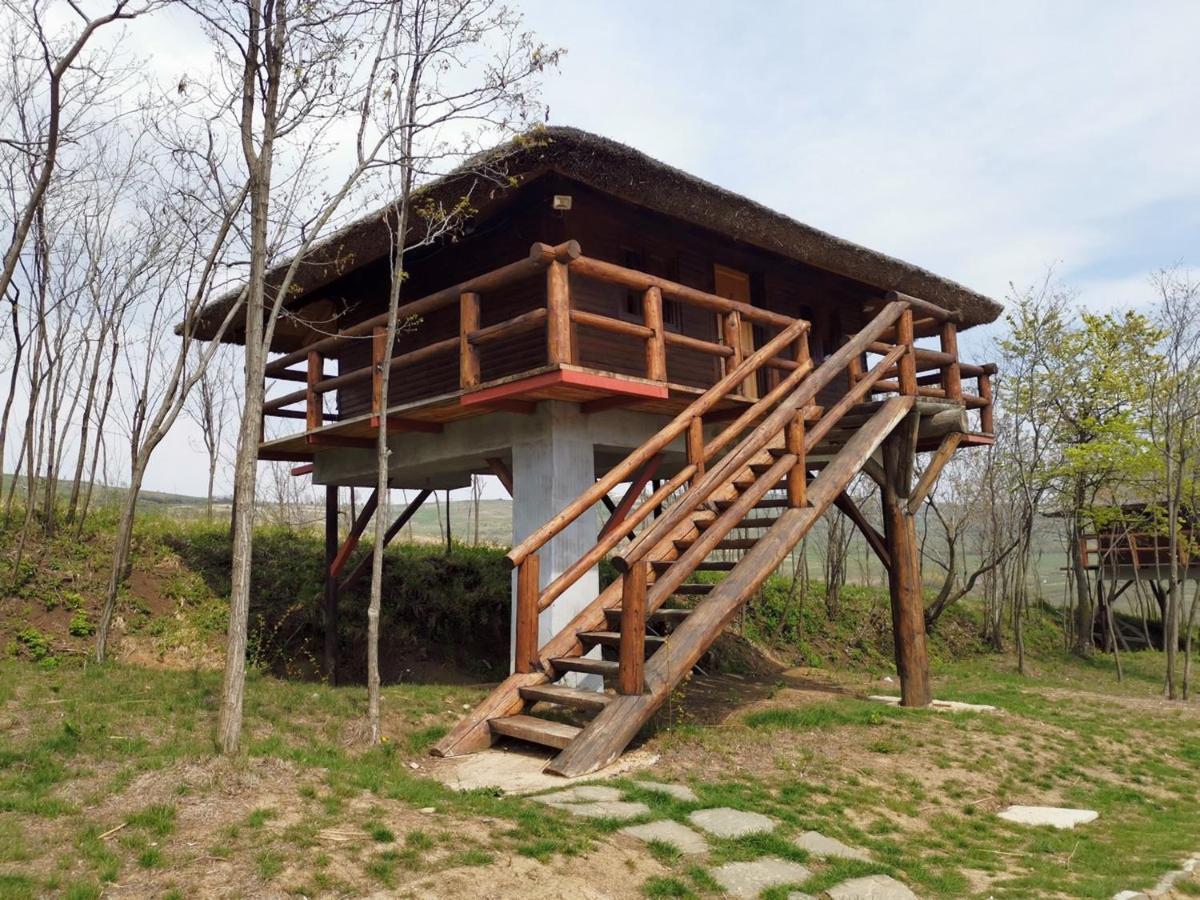 Ferma Dacilor Hotel Tohani Exterior photo